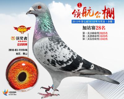 唐山领航加站赛28名
