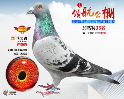 唐山领航加站赛35名