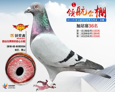 唐山领航加站赛36名