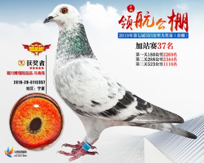 唐山领航加站赛37名