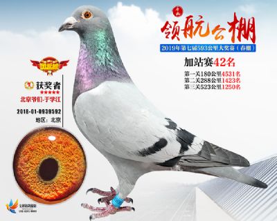 唐山领航加站赛42名