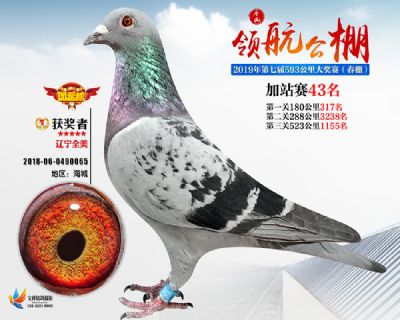 唐山领航加站赛43名