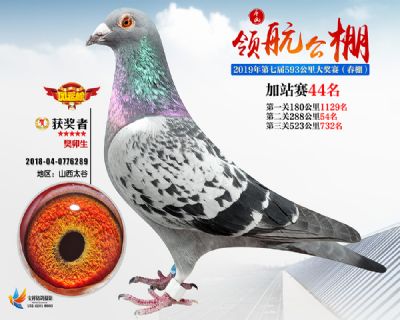 唐山领航加站赛44名