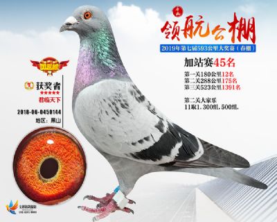 唐山领航加站赛45名