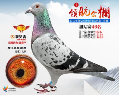 唐山领航加站赛46名