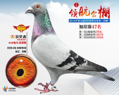 唐山领航加站赛47名