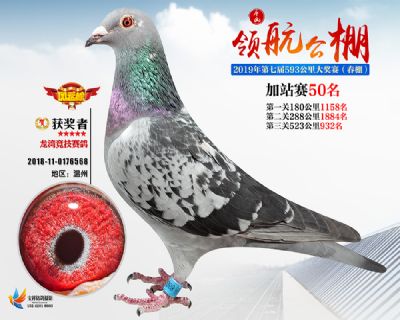唐山领航加站赛50名