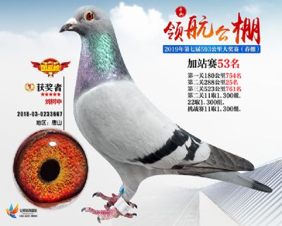 唐山领航加站赛53名
