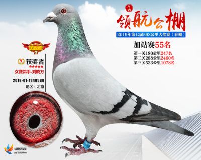 唐山领航加站赛55名