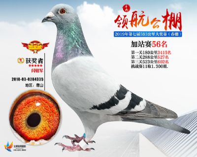 唐山领航加站赛56名