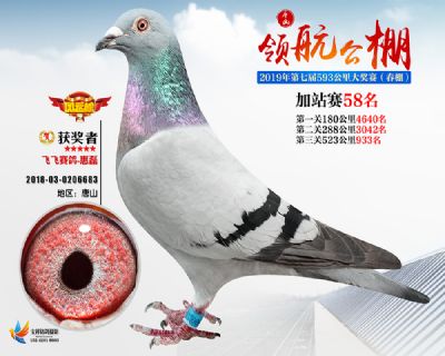 唐山领航加站赛58名