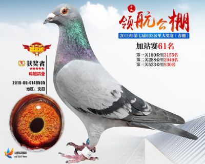 唐山领航加站赛61名