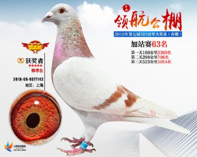 唐山领航加站赛63名