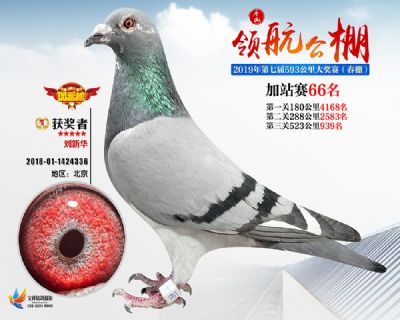 唐山领航加站赛66名