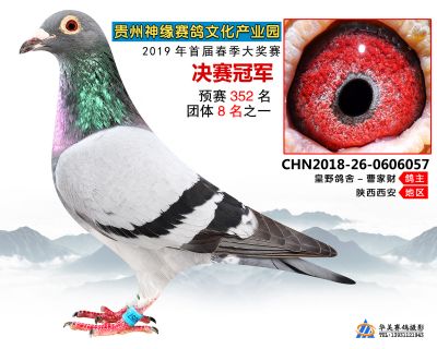 贵州神缘决赛冠军