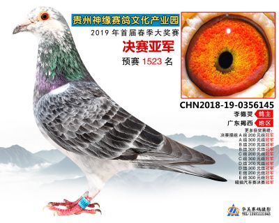 贵州神缘决赛亚军