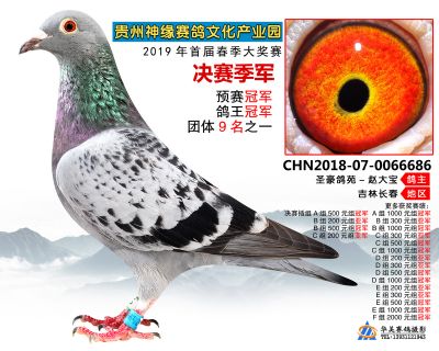 贵州神缘决赛季军