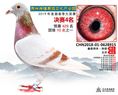 贵州神缘决赛4名
