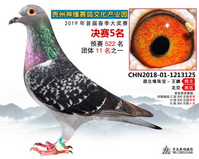 贵州神缘决赛5名