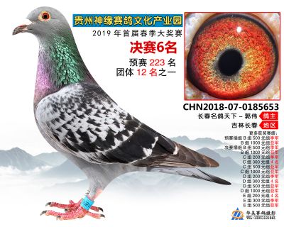 贵州神缘决赛6名