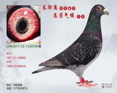 精品吳淞