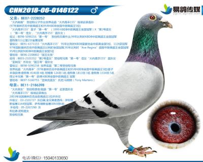 贺伯特-大内高手122