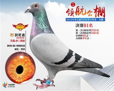 唐山领航决赛91名