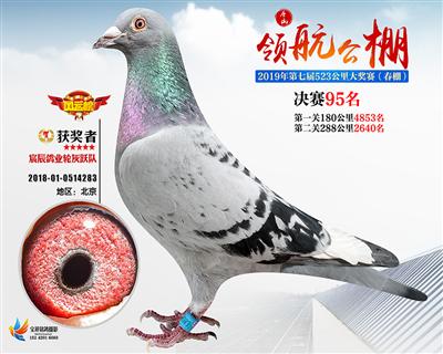 唐山领航决赛95名