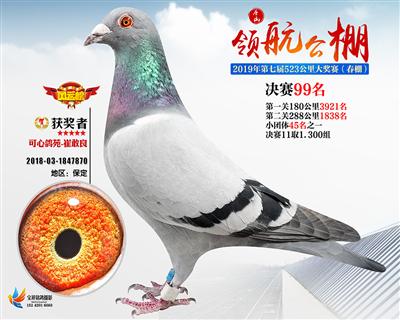 唐山领航决赛99名