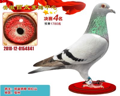 安徽百太决赛4名
