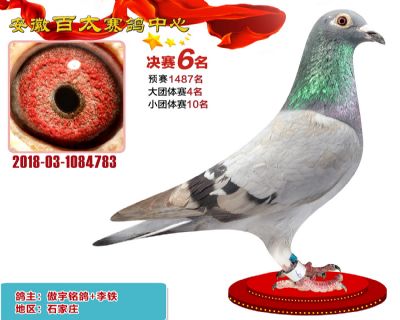 安徽百太决赛6名