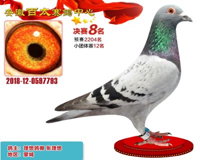 安徽百太决赛8名