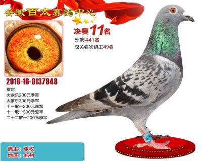 安徽百太决赛11名