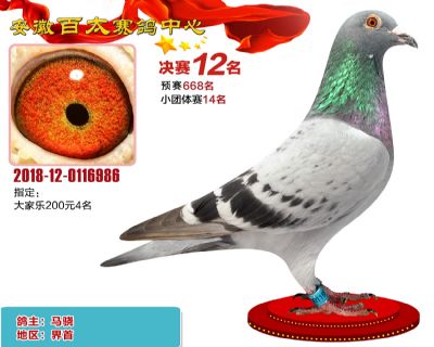 安徽百太决赛12名
