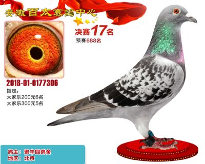安徽百太决赛17名