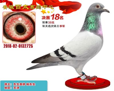 安徽百太决赛18名