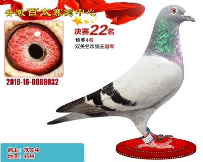 安徽百太决赛22名