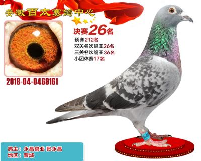 安徽百太决赛26名