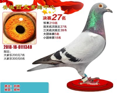 安徽百太决赛27名