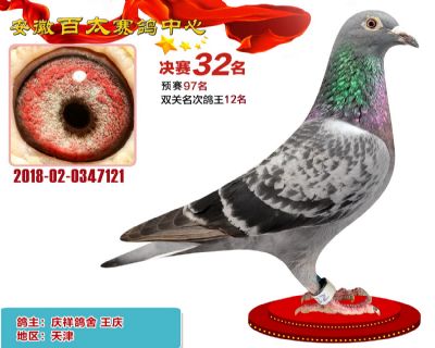 安徽百太决赛32名