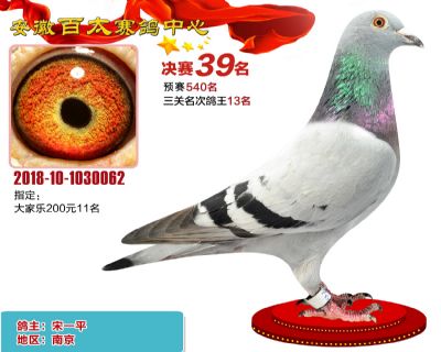 安徽百太决赛39名