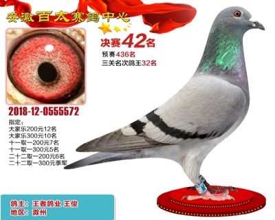 安徽百太决赛42名