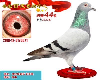 安徽百太决赛44名