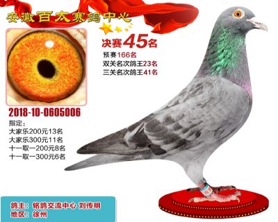 安徽百太决赛45名