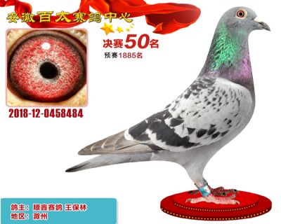 安徽百太决赛50名