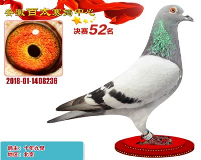 安徽百太决赛52名