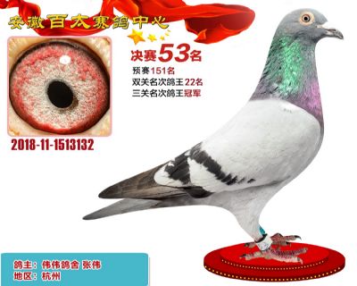 安徽百太决赛53名