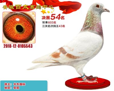 安徽百太决赛54名