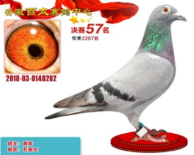 安徽百太决赛57名