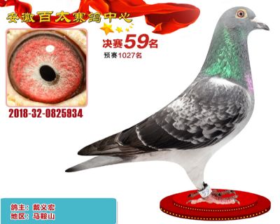 安徽百太决赛59名